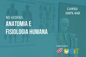 Anatomia e Fisiologia Humana – 80 horas