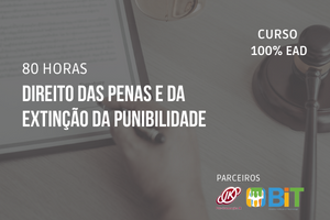 Direito das Penas e da Extinção da Punibilidade – 80 horas