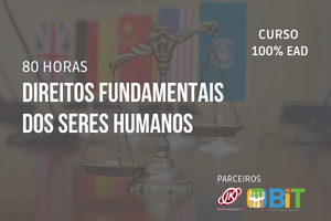 Direitos Fundamentais dos Seres Humanos- 80 horas