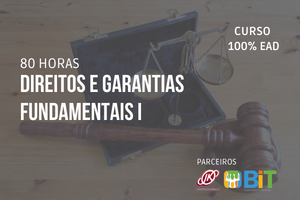 Direitos e Garantias Fundamentais I – 80 HORAS