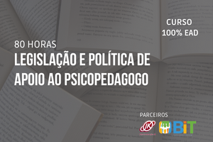 Legislação e Política de Apoio ao Psicopedagogo – 80 horas