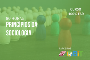 Princípios da Sociologia – 80 horas