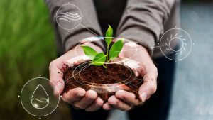 Técnico em Meio Ambiente – 1200 horas