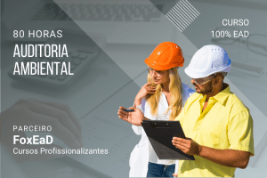 Auditoria Ambiental – 80 Horas