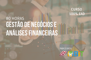 Gestão de Negócios e Análises Financeiras – 80 horas