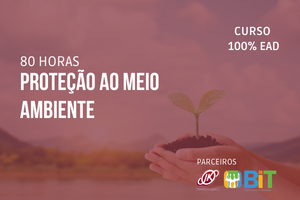 Proteção ao Meio Ambiente – 80 horas