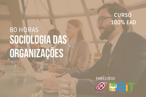 Sociologia das Organizações – 80 horas