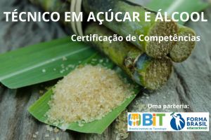 TÉCNICO EM AÇÚCAR E ÁLCOOL