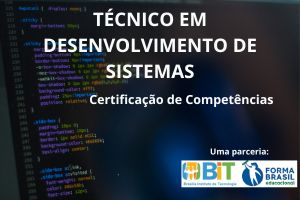 TÉCNICO EM DESENVOLVIMENTO DE SISTEMAS