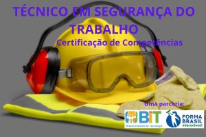 TÉCNICO EM SEGURANÇA DO TRABALHO